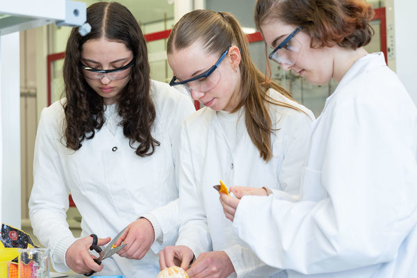 Schülerinnen experimentieren im Chemielabor am Girls Day